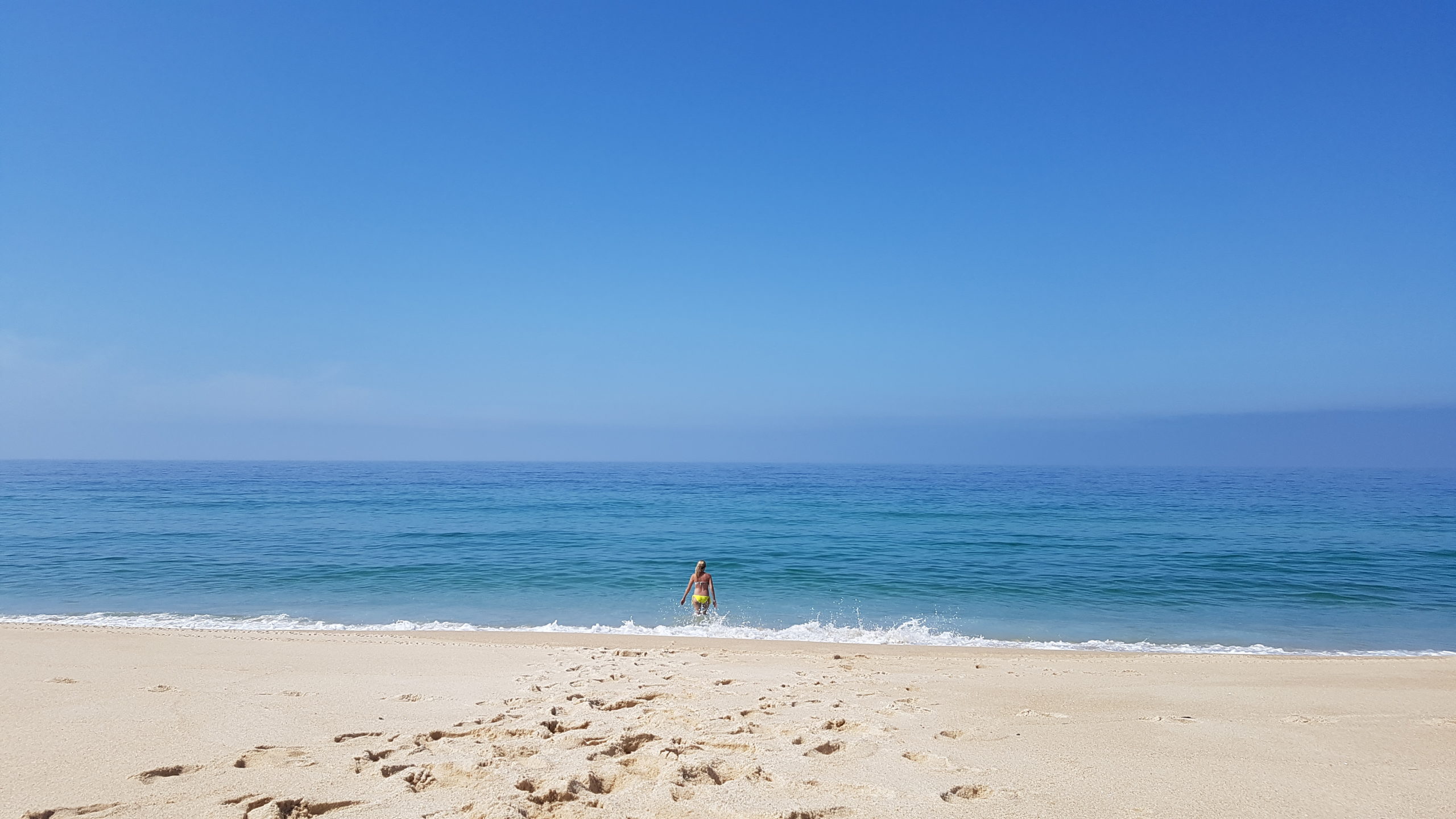 Wir gehen schwimmen Wir gehen schwimmen