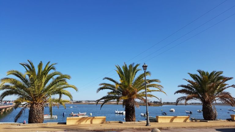Willkommen im Spanien Vanlife mit Palmen direkt am Strand