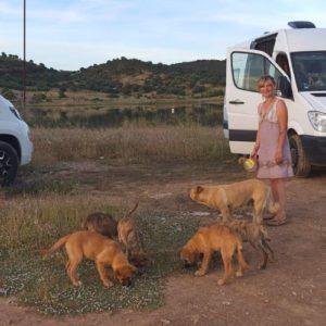 Kathy mit Hunde im Vanlife auf einer Wiese in Rumänien