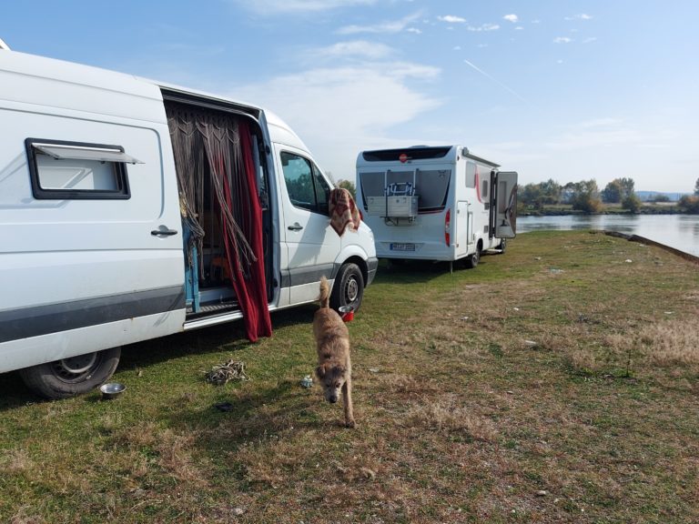 Rumaenien Vanlife zwei Campervans parken auf einer Wiese am Flussufer